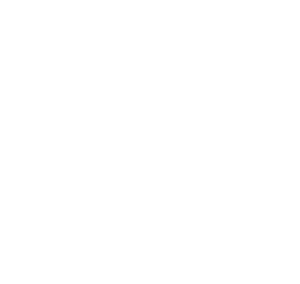 user journey icon