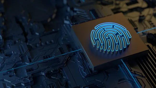Graphic of a fingerprint on a security device