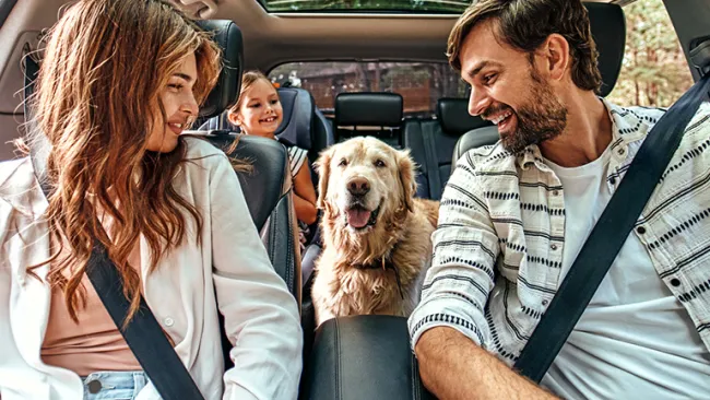 Family in car with pet dog
