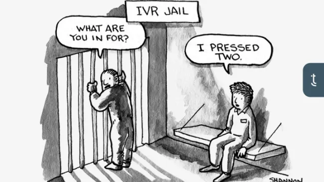 cartoon of ivr jail