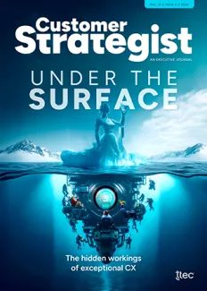 Customer Strategist: Under the Surface