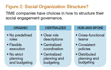 Social organization structure 